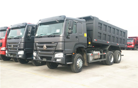 SINOTRUK HOWO 6X4 290hp Dump Truck